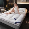 Five-star hotel homestay mattresses, home cushions, student dormitory soft cushions, single tatami MATS thickened by 10cm Specification image
